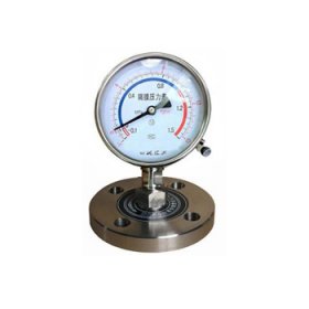 Y-MF隔膜壓力表 Y-MF隔膜壓力表